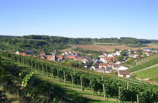Ein Dorf lebt vom Wein