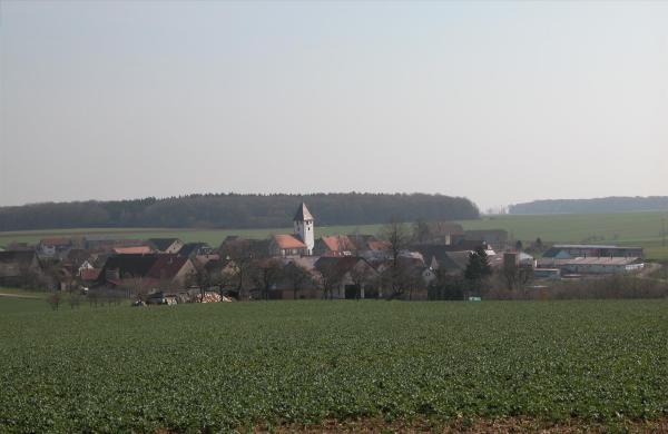 Rinderfeld