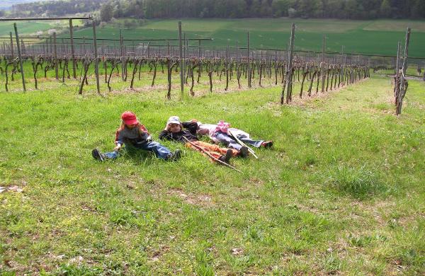 Wander- und Radtouren