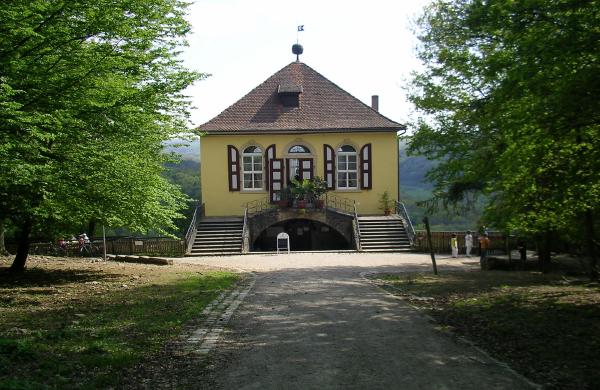 Herbe Schönheit und ...