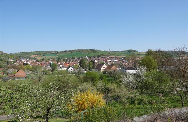 Edelfingen