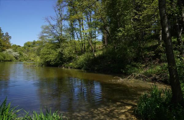 Aschbachsee