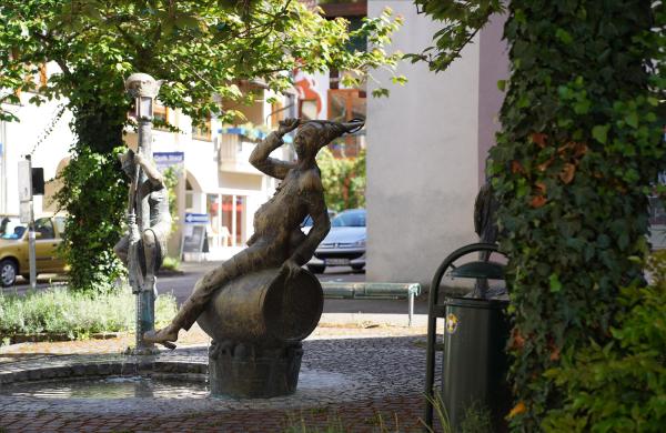 Der Narrenbrunnen