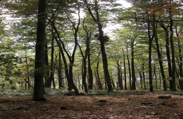 Herbst-Impressionen aus dem Taubertal