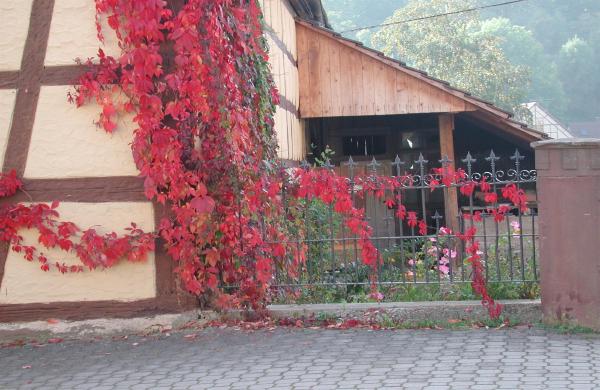 Museen in Niederstetten-